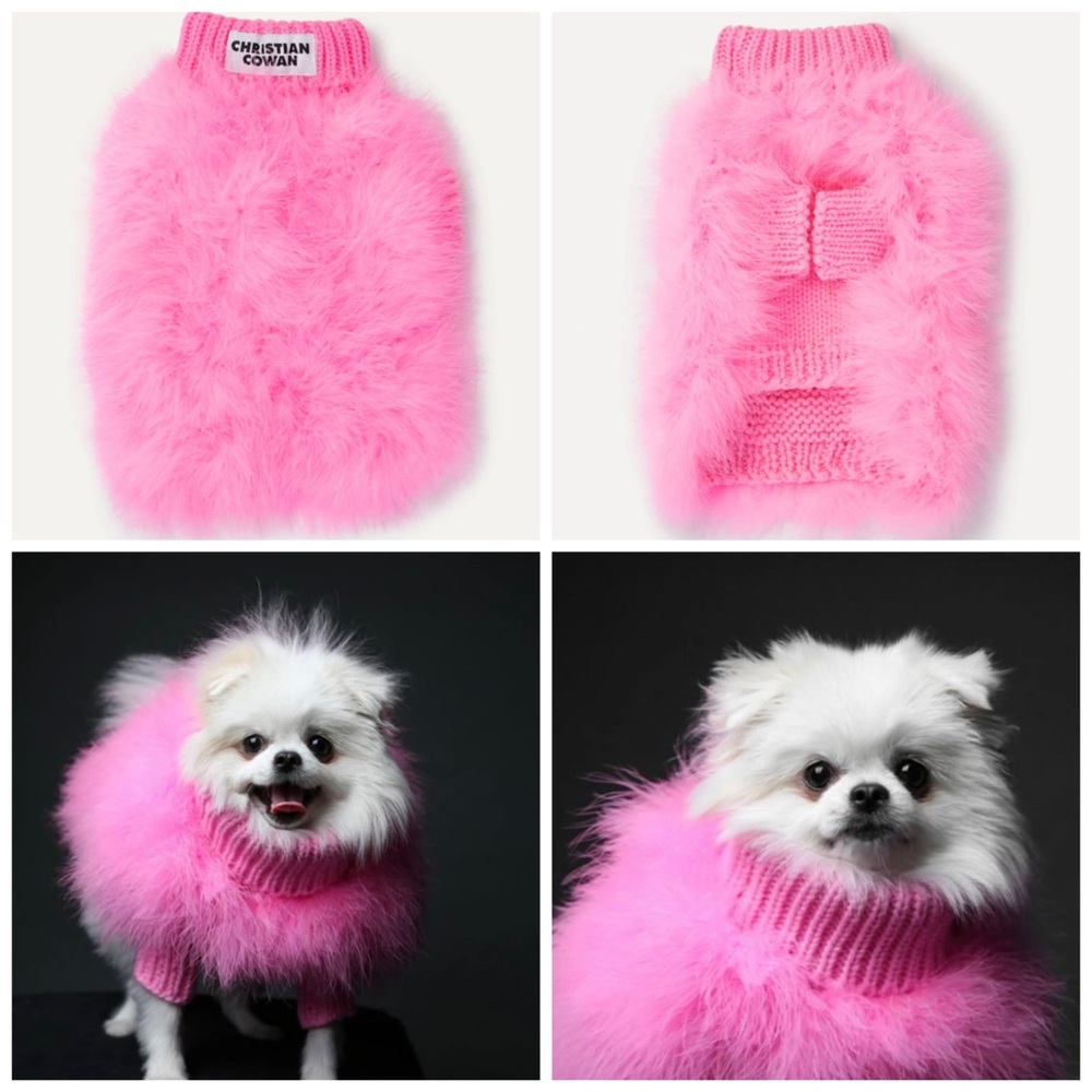 maxbone Christian Cowan Jumper for Dogs